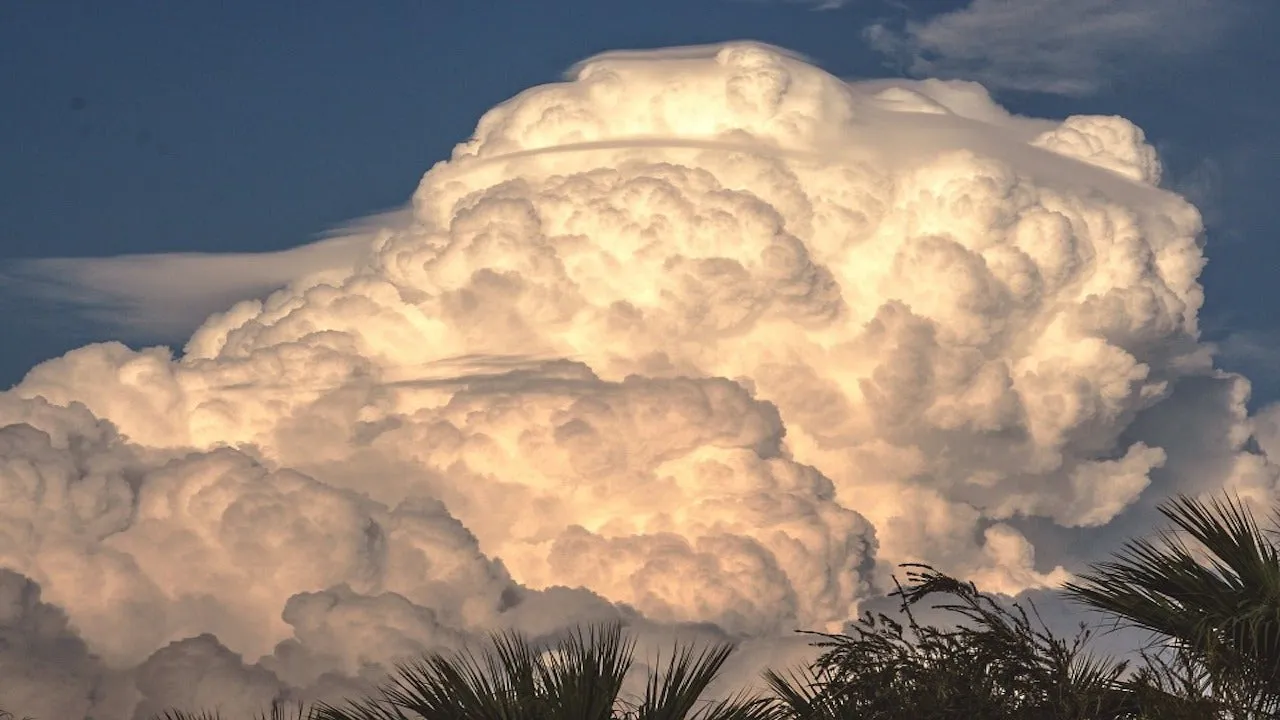 escumulonimbus
