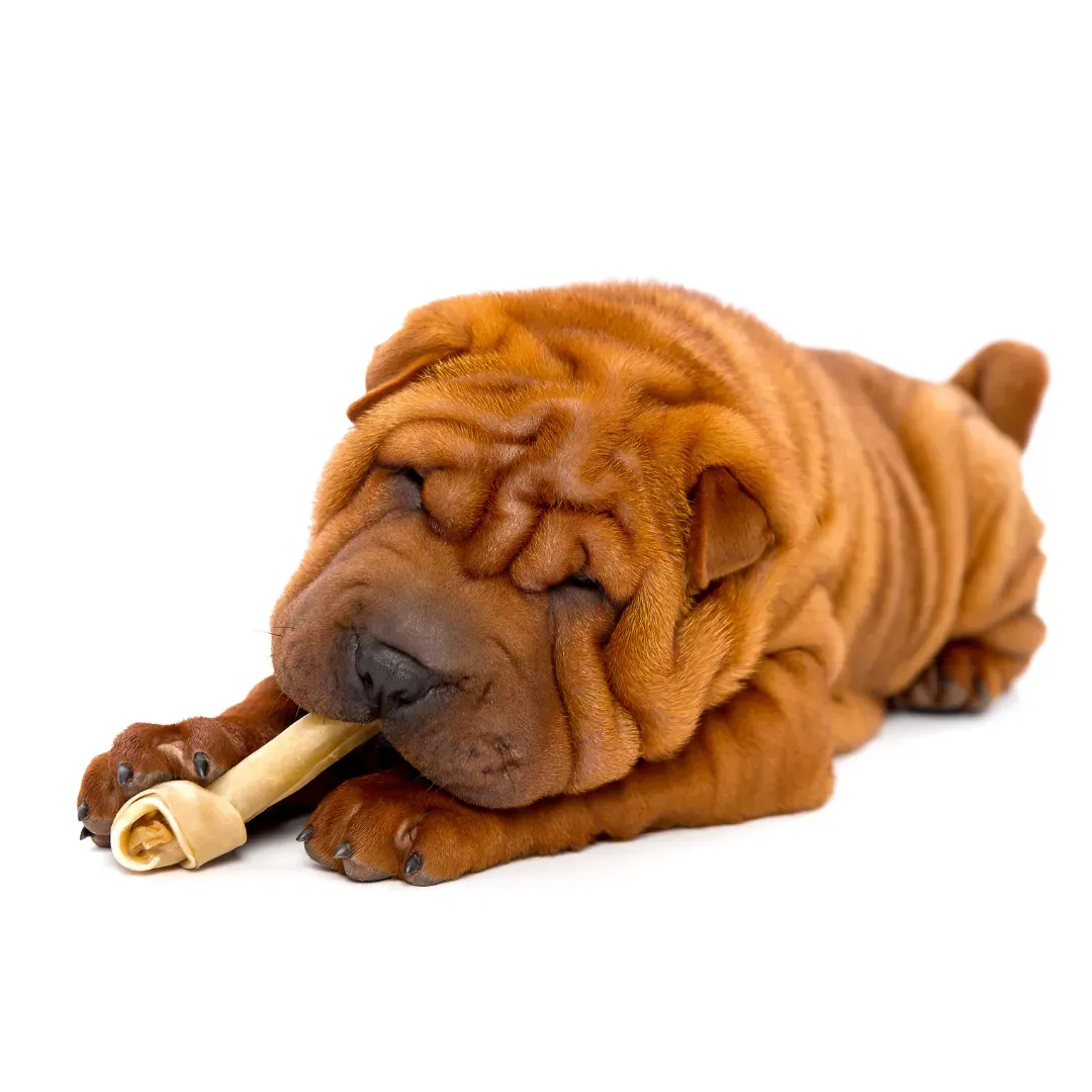 ¿Cuál es el mejor alimento para un Shar Pei?