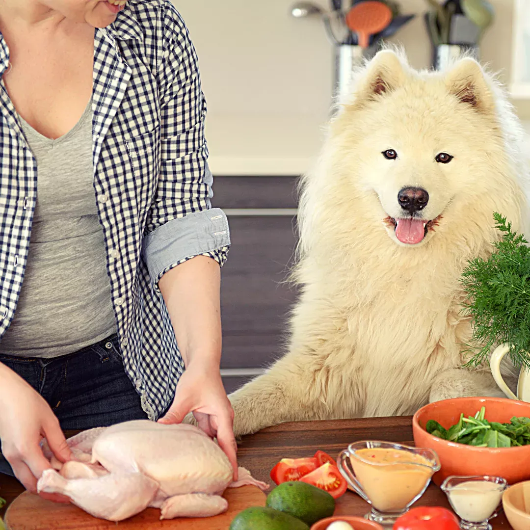 Cocina tu propio alimento balanceado para tu mascota