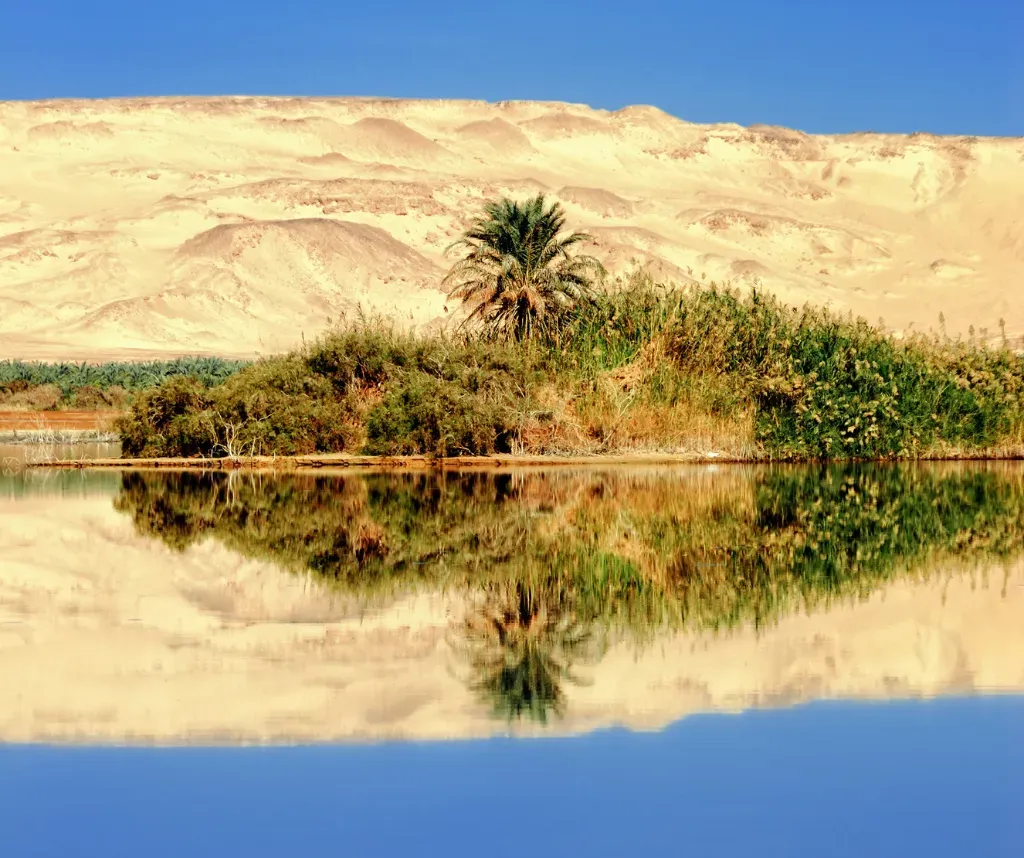 Oasis de Farafra