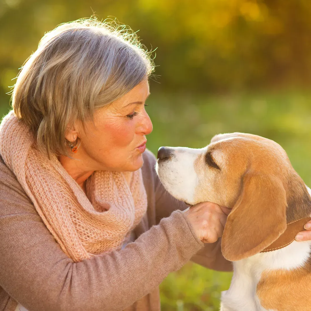 Hay razas de perros que son de gran compañía para los adultos